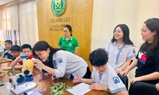 Từng bước xây dựng các trung tâm nhân giống, bảo tồn và phát triển dược liệu ứng dụng công nghệ cao