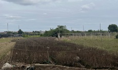 Cảnh tiêu điều tại làng hoa Tây Tựu, nhiều hộ dân mất trắng sau ngập lụt