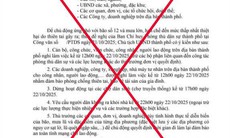 Đà Nẵng bác tin giả cho cán bộ, công chức nghỉ làm, dừng hoạt động chợ vì bão số 12