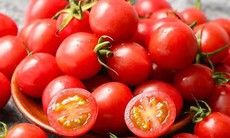 Rau củ nên ăn cho người bệnh trĩ