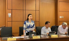 ĐBQH kiến nghị 'phụ nữ sinh đủ 2 con được mua nhà ở xã hội'