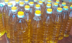 'Săn' hạt mắc-ca, óc chó… để ép dầu: Trào lưu mới của các bà nội trợ