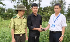 Người dân Huế liên tiếp giao nộp rùa quý hiếm