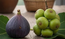 6 lý do nên ăn quả sung