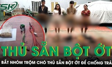 Phẫn nộ lời khai của nhóm trộm chó dùng súng điện, thủ sẵn bột ớt để chống trả khi bị truy đuổi