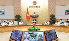 Thủ tướng phân công nhiệm vụ của các Phó Thủ tướng