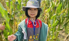 Học sinh đi tham quan, trải nghiệm: Cần lưu ý gì để đảm bảo an toàn?