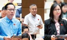 Thiên tai ngày càng khốc liệt, ĐBQH đề nghị giữ rừng, xử lý phá rừng lấy gỗ và làm dự án