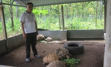 Chuyện về ‘bảo mẫu’ đặc biệt của động vật quý hiếm