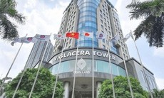 Viglacera dự kiến chi gần 1.000 tỷ đồng tiền mặt để trả cổ tức