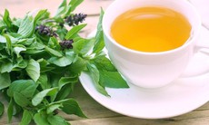 8 lợi ích sức khỏe nổi bật từ trà húng quế