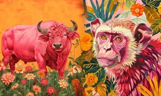 Tử vi 12 con giáp hôm nay 30/10: Tuất khó chịu, Ngọ tỏa sáng