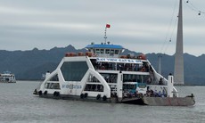 Hải Phòng cấm tàu thuyền và các hoạt động trên biển, sông để ứng phó bão số 11