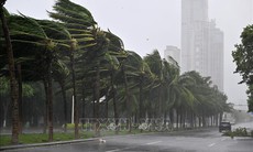 Trung Quốc nâng mức ứng phó khẩn cấp khi bão Matmo áp sát