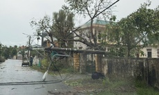 Bão Matmo di chuyển lệch về phía Bắc, tiến vào khu vực biên giới Quảng Ninh 