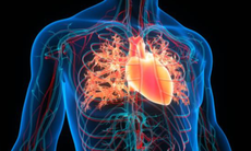 10 phút nâng bắp chân sau ăn – Đơn giản mà lợi ích không ngờ