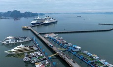 Bão số 11: Quảng Ninh tạm ngừng cấp phép tàu trên vùng biển từ 8h ngày 5/10