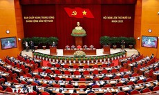 Biểu quyết giới thiệu nhân sự Ban chấp hành Trung ương khóa XIV