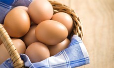 Cảnh giác với trứng nhiễm khuẩn Salmonella để bảo vệ sức khỏe