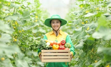 Hành trình rau sạch WinEco: Từ nông trường đến bàn ăn Việt