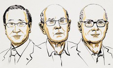 Nobel Hóa học 2025 vinh danh ba nhà khoa học nghiên cứu về vật liệu xốp