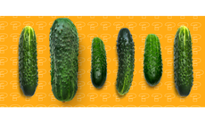 Bật mí ‘chuyện yêu’: Kích thước có phải là yếu tố quyết định sự thỏa mãn?