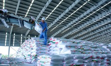 Lãnh đạo DCM không hoàn tất giao dịch 8.000 cổ phiếu