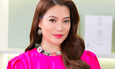 Sự nghiệp diễn viên Trương Ngọc Ánh trước khi vướng vòng lao lý