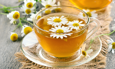 5 loại trà thảo mộc giúp hạ cholesterol, bảo vệ tim mạch