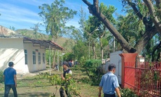 Bệnh viện Phong - Da liễu Trung ương Quy Hòa khẩn trương khắc phục thiệt hại nặng bão số 13