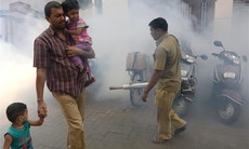 Biến đổi khí hậu gây gia tăng các bệnh truyền nhiễm trên toàn thế giới