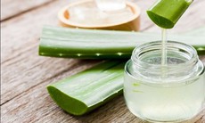 Loại da nào dùng gel lô hội là tốt nhất?