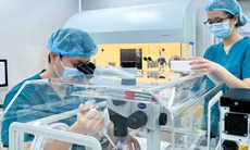 Vi nhựa xâm nhập nang trứng: Báo động mới với khả năng sinh sản nữ