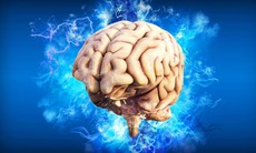 Vi khuẩn trong khối u não có thể đóng vai trò bất ngờ trong sự phát triển ung thư