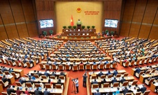 Trình Quốc hội cơ chế, chính sách triển khai Nghị quyết 72 của Bộ Chính trị