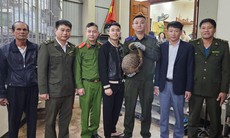 Người dân Hà Tĩnh giao nộp hai cá thể động vật hoang dã quý hiếm