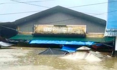 Đợt mưa lũ ở miền Trung có diện rất rộng và xảy ra trong bối cảnh cực kỳ nguy hiểm