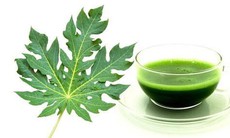 Ăn lá đu đủ có tác dụng gì?