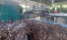 Lào Cai: Biến dược liệu bản địa thành ngành kinh tế mũi nhọn