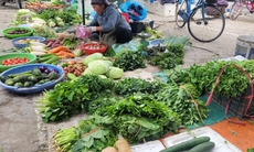 Gia đình thu nhập thấp xoay xở thế nào khi rau xanh là mặt hàng rẻ nhất cũng trở thành xa xỉ sau bão?