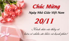 Những lời chúc ngày Nhà giáo Việt Nam 20/11 hay và ý nghĩa nhất 2025