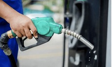 Giá xăng có thể tiếp tục tăng trong ngày mai 20/11