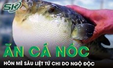 Cấp cứu tối khẩn ca bệnh hôn mê sâu sau 1 giờ ăn cá nóc 