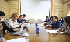 Thứ trưởng Bộ Y tế Lê Đức Luận tiếp đoàn Ngân hàng Phát triển Châu Á