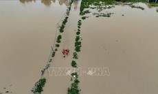 Cảnh báo lũ khẩn cấp trên sông Ba, sông Krông Ana, sông Kôn