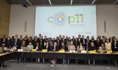 COP11 khẳng định ưu tiên bảo vệ giới trẻ trước 'nạn dịch' thuốc lá mới