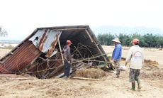 Sông Vu Gia tan tác sau lũ, nơi sạt lở nuốt đất, nơi cát bồi kín ruộng