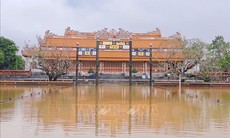 Xử lý khẩn cấp, gia cố đoạn tường thành phía Bắc Hoàng thành Huế