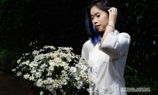 Hà Nội dịu dàng mùa hoa 'gọi đông'