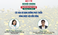 Truyền hình trực tuyến: Cúc hoa và định hướng phát triển vùng dược liệu bền vững